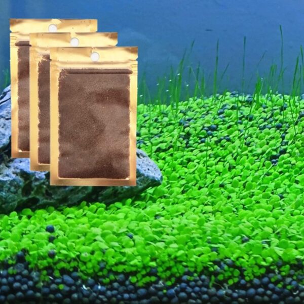 Aquarium Plant Real Grass Carpet