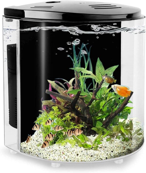 Compact Design Aquarium Starter Kit