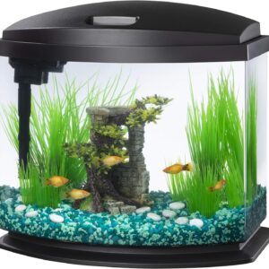 Convenient Small Aquarium Fish Tank