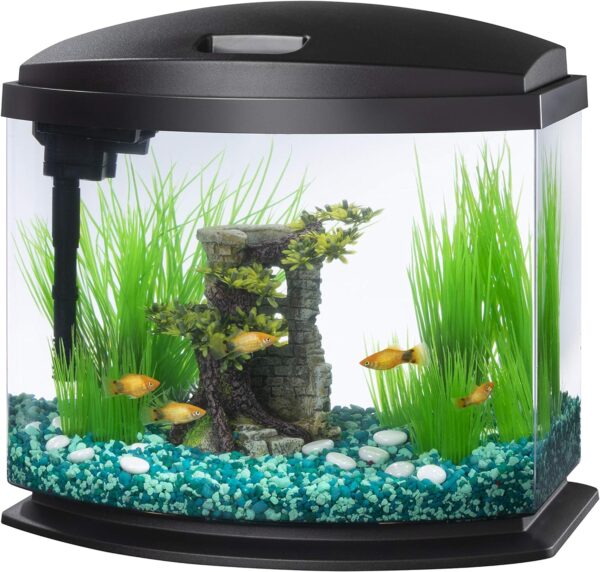 Convenient Small Aquarium Fish Tank