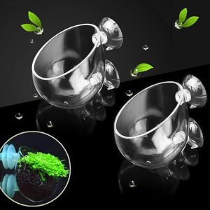 Crystal Glass Aquatic Plant Pot with Suction Cups 1