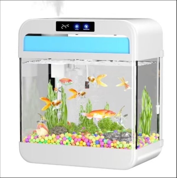 Modern Fish Tank Aquarium Design Setup