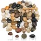 Ornamental Pebbles Decorative Stones for Aquariums Fish Tanks dimensions