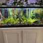 Rectangular Fish Tank Glass Aquarium actual image
