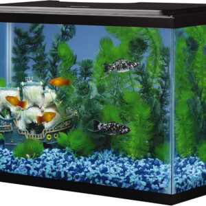 Rectangular Fish Tank Glass Aquarium actual photo