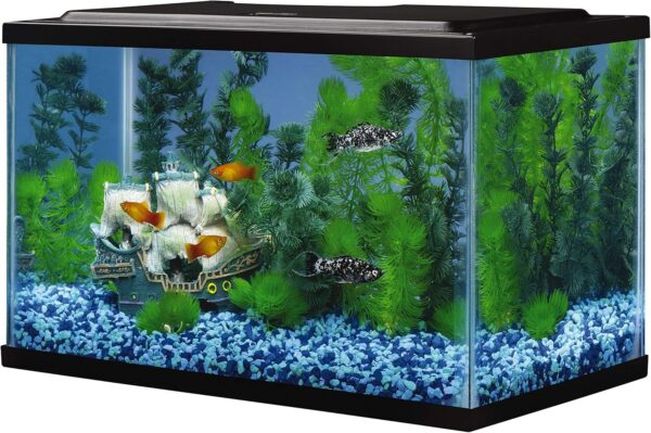 Rectangular Fish Tank Glass Aquarium actual photo