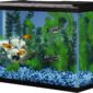 Rectangular Fish Tank Glass Aquarium actual photo