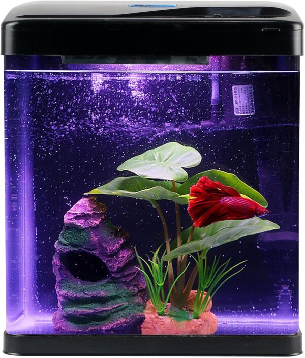 Self Cleaning Betta Fish Tank